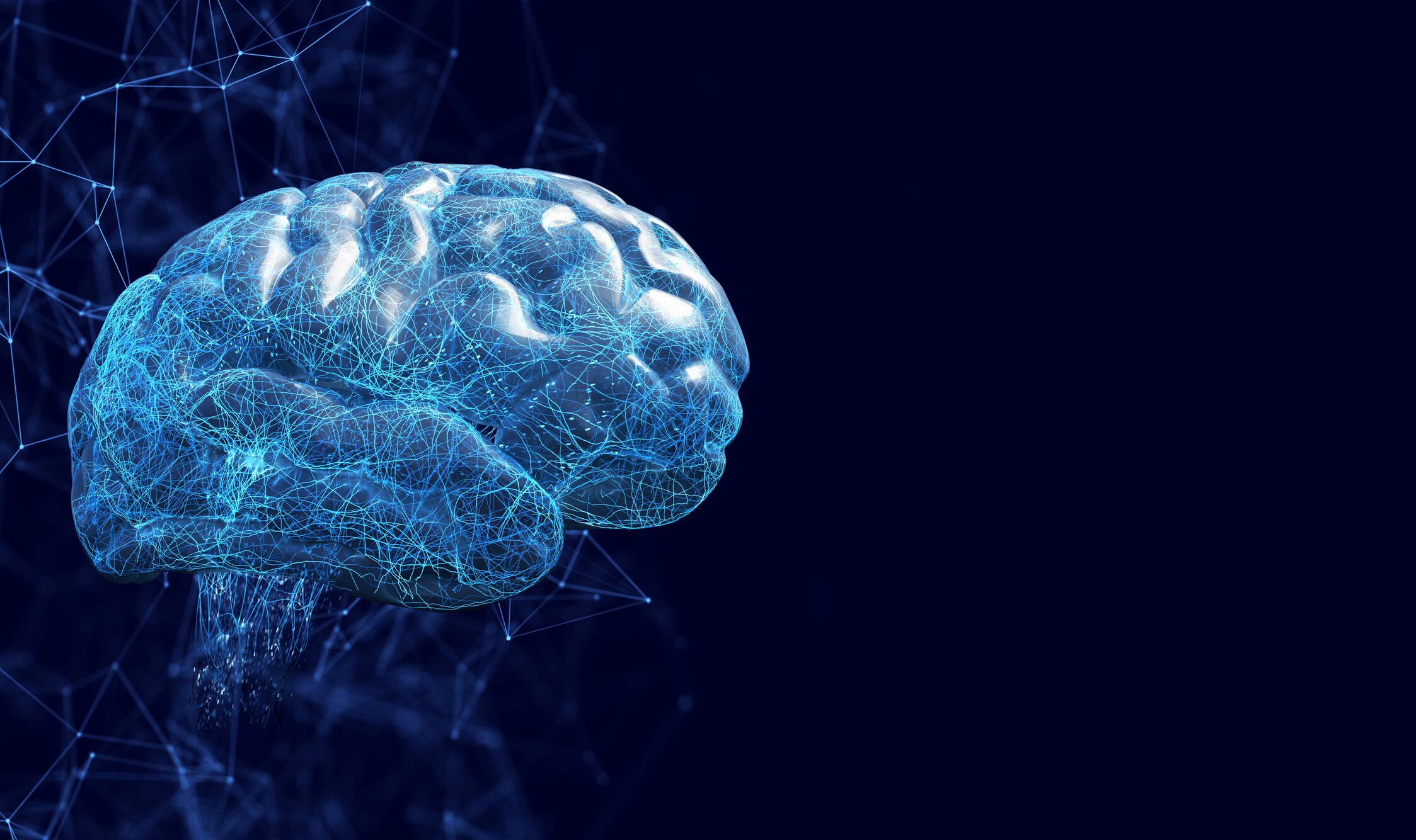 Imagen de referencia del cerebro / Getty Images