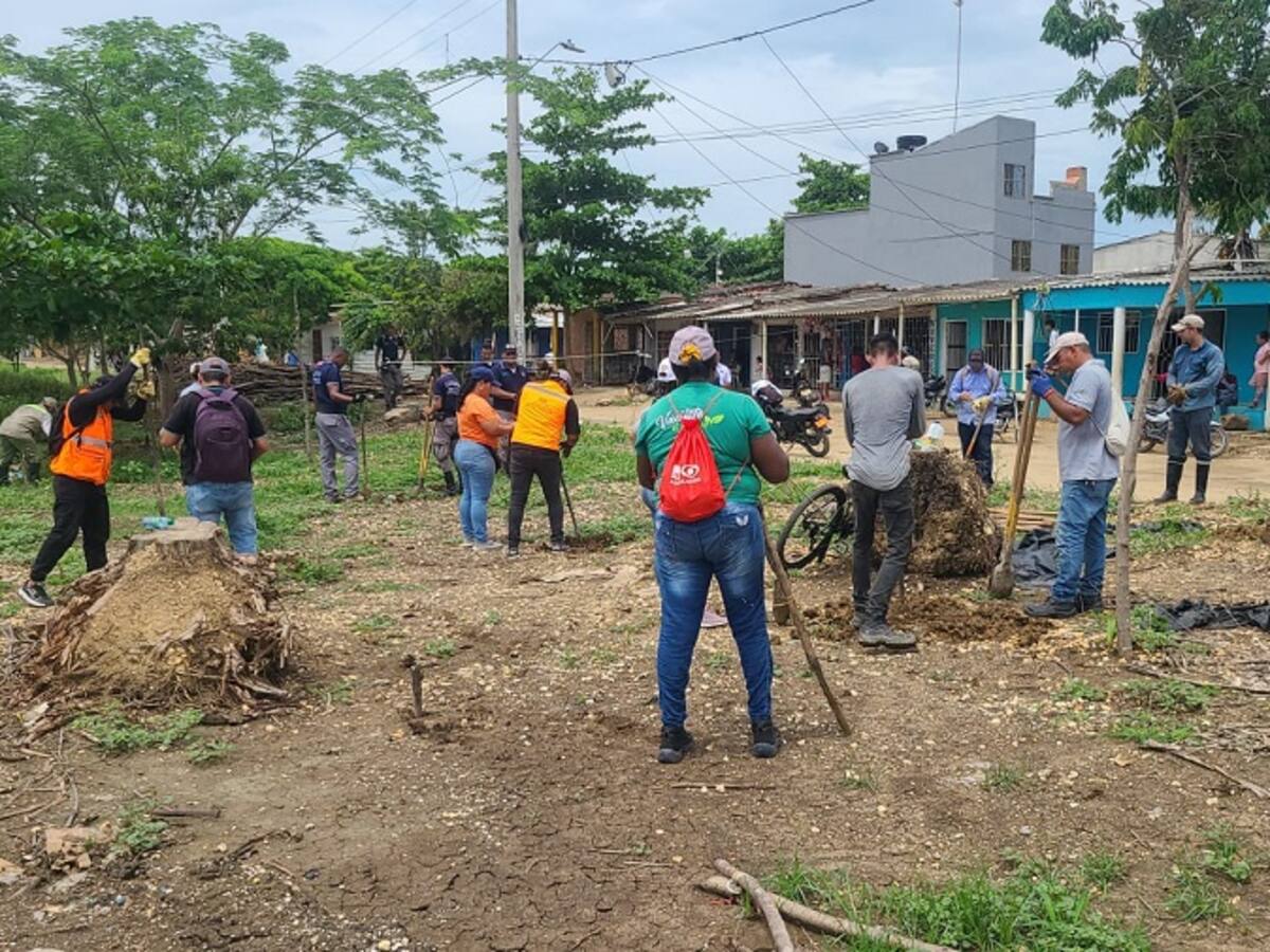 EPA Cartagena hará reconocimiento de experiencias comunitarias en Día del Medio Ambiente