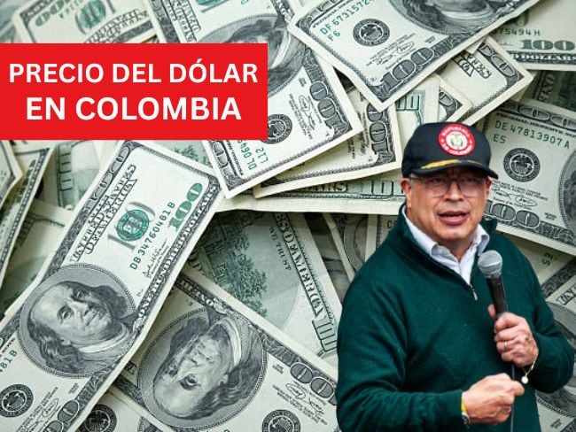 Precio del dólar en Colombia para este 16 de enero de 2026 Foto: Getty Images