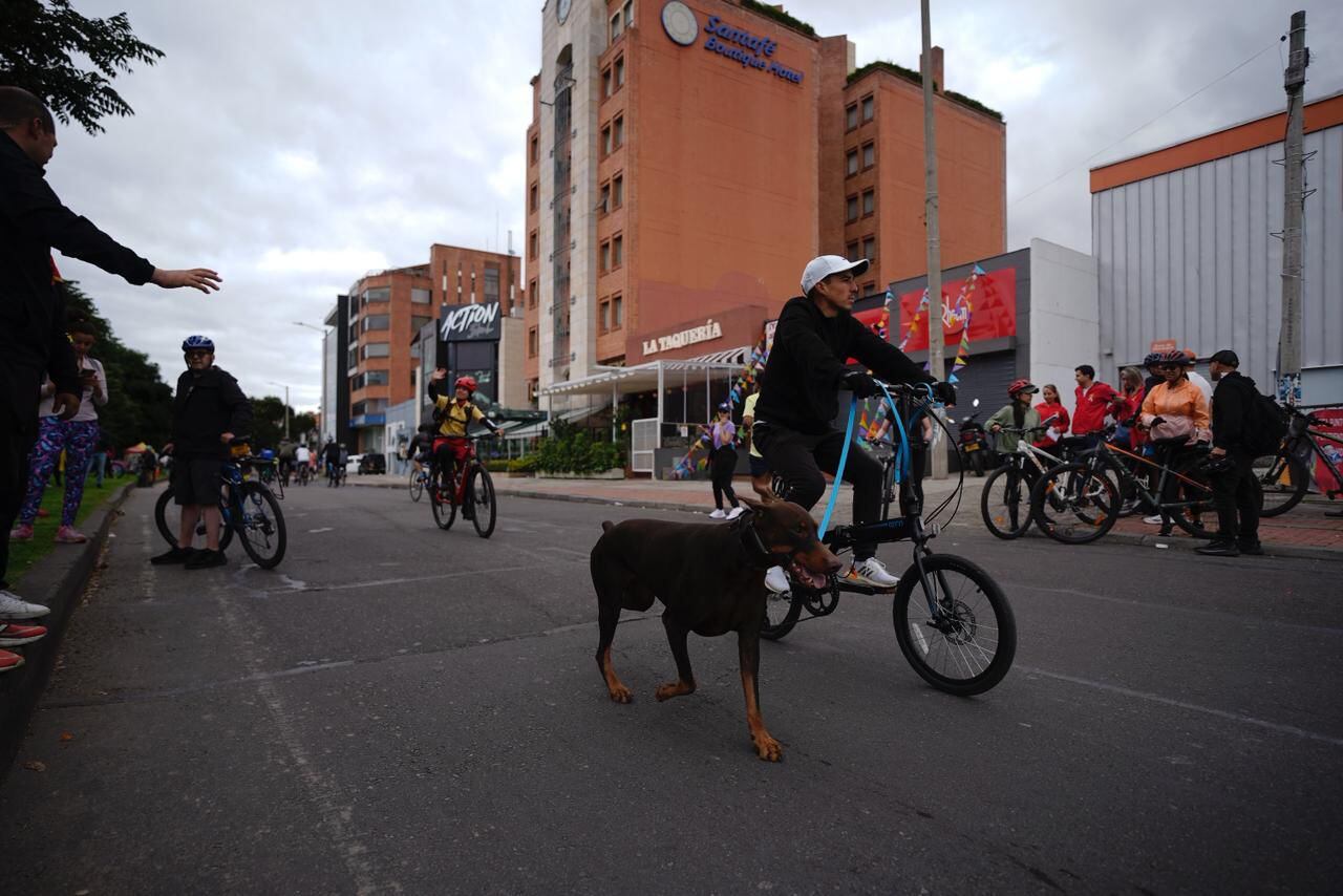 Ciclovía Carrera Séptima en Bogotá. Foto: IDRD.