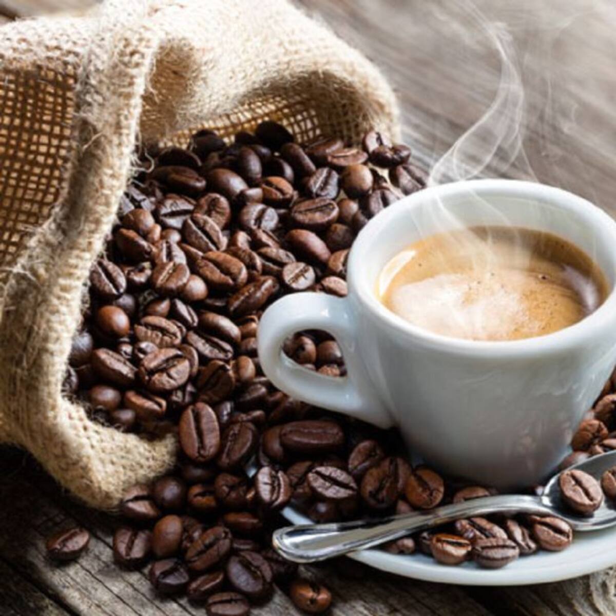 Norte de Santander se prepara para su Feria de Cafés Especiales 2025