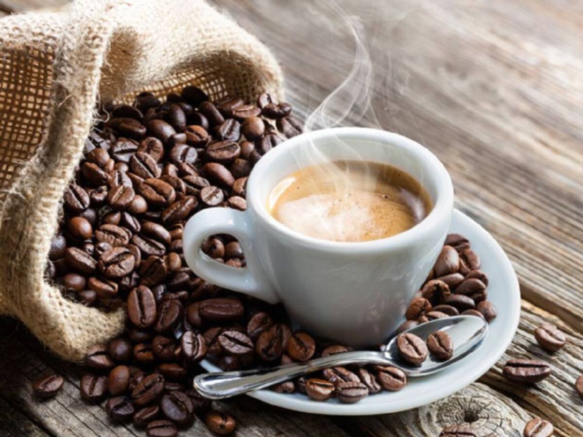Norte de Santander se prepara para su Feria de Cafés Especiales 2025