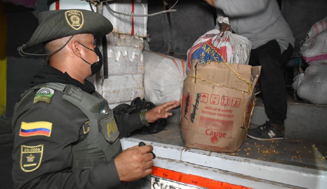 Entre los animales rescatados hay aves, serpientes y babillas.