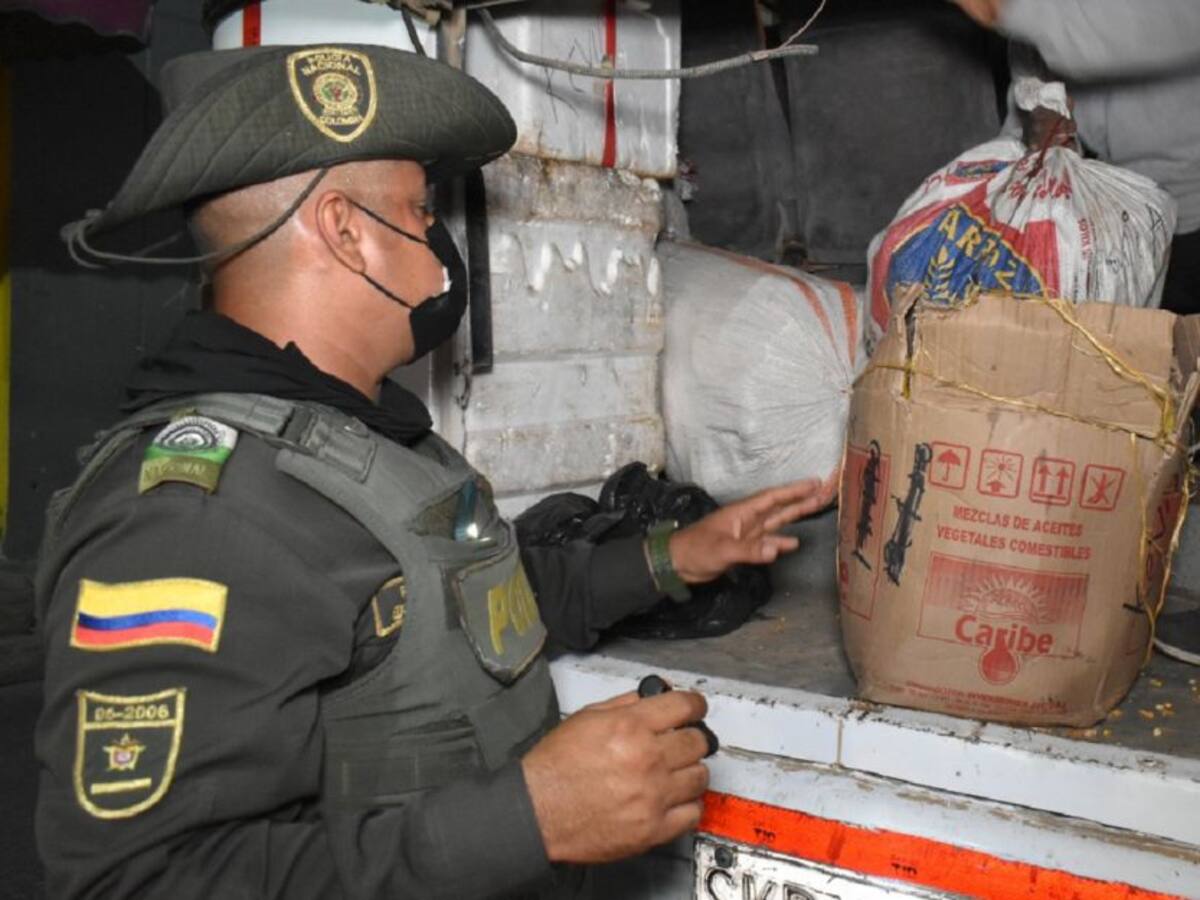 Policía incautó 19 especies silvestres y 129 artesanías en Cartagena