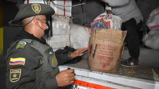 Entre los animales rescatados hay aves, serpientes y babillas.