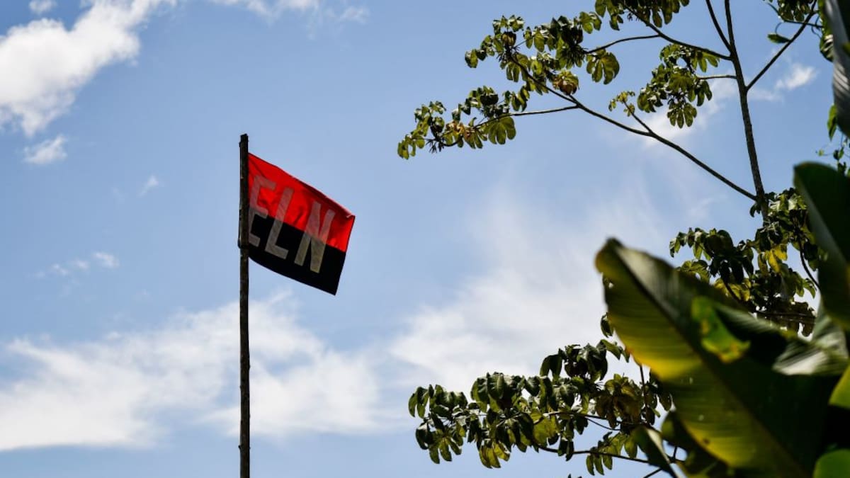 ¿Cuáles son los retos que enfrentará el plan de sustitución de cultivos ilícitos para el Catatumbo?