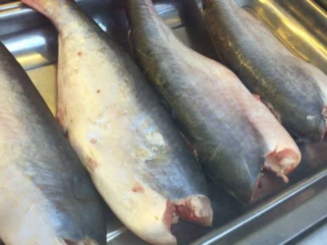 Alerta por venta de pescado en malas condiciones