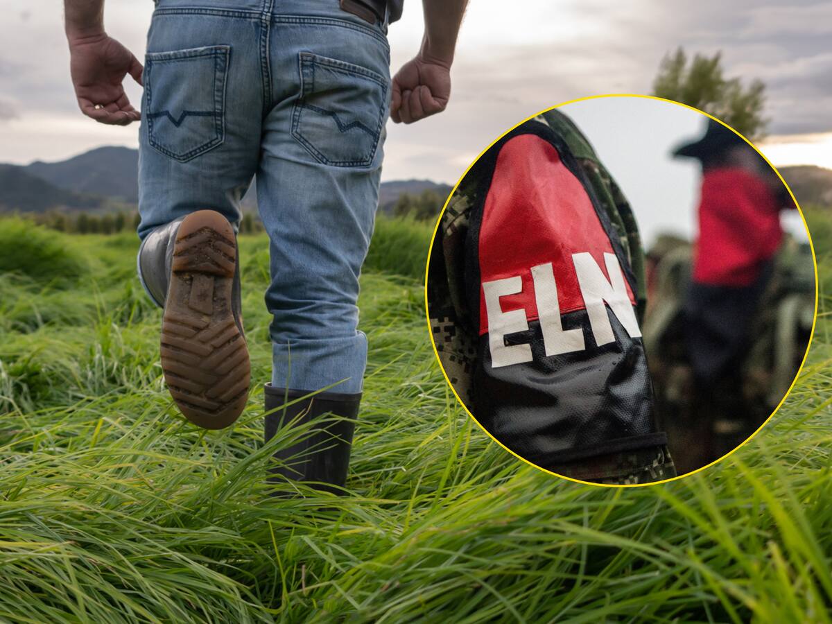 Crisis Catatumbo: Gobernación de Norte de Santander confirma 80 muertos y 5.000 desplazados