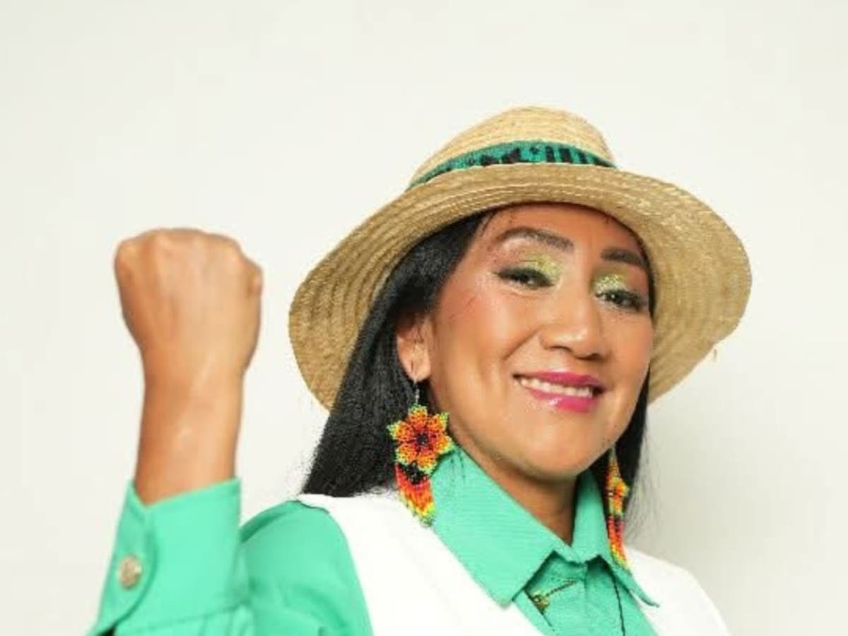 Denuncian desaparición de Ana Guetio, candidata a la Cámara Especial por la Paz