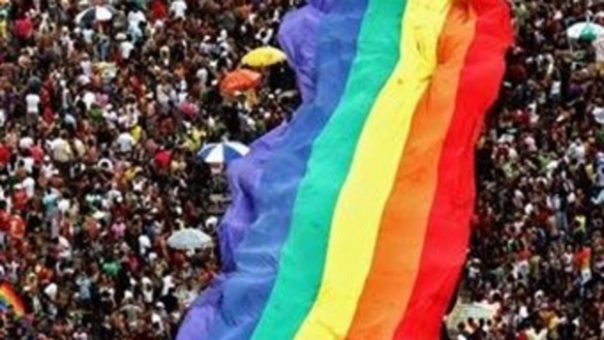 Sigue la polémica. Nace en el Congreso "frente pro matrimonio gay"