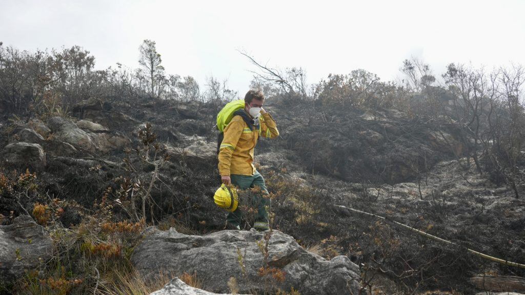 Parques Nacionales realizará una evaluación para determinar los daños y definir las acciones de recuperación del ecosistema.