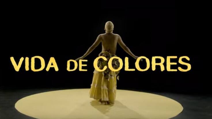'Vida de colores', la miniserie que busca hablar sobre la comunidad LGBTI