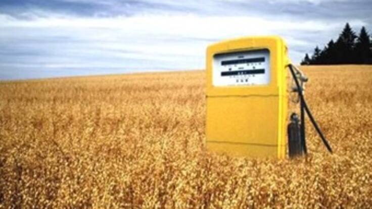 Biocombustibles: polémica entre lo renovable y la necesidad alimentaria