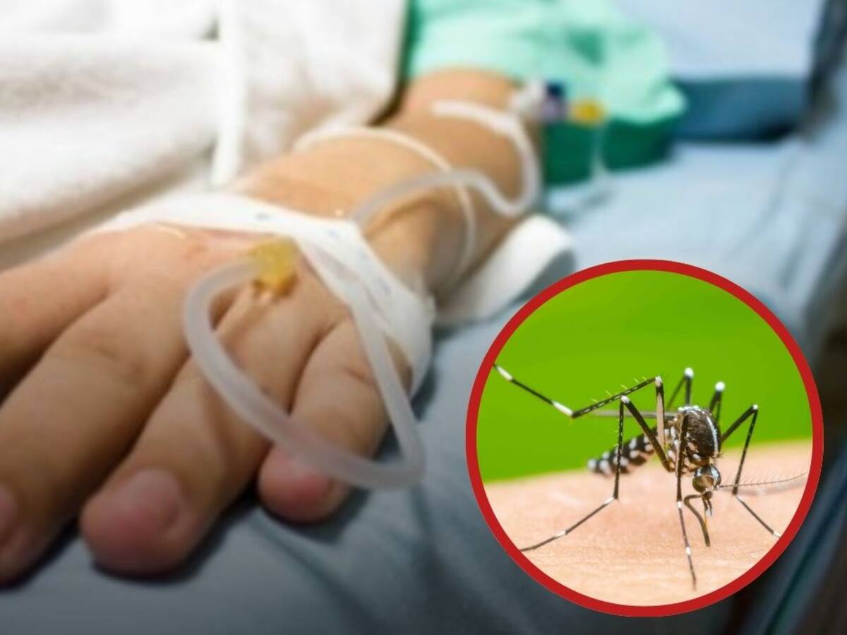 Preocupación en la Comuna 7 de Cúcuta por aumento de casos de dengue en niños