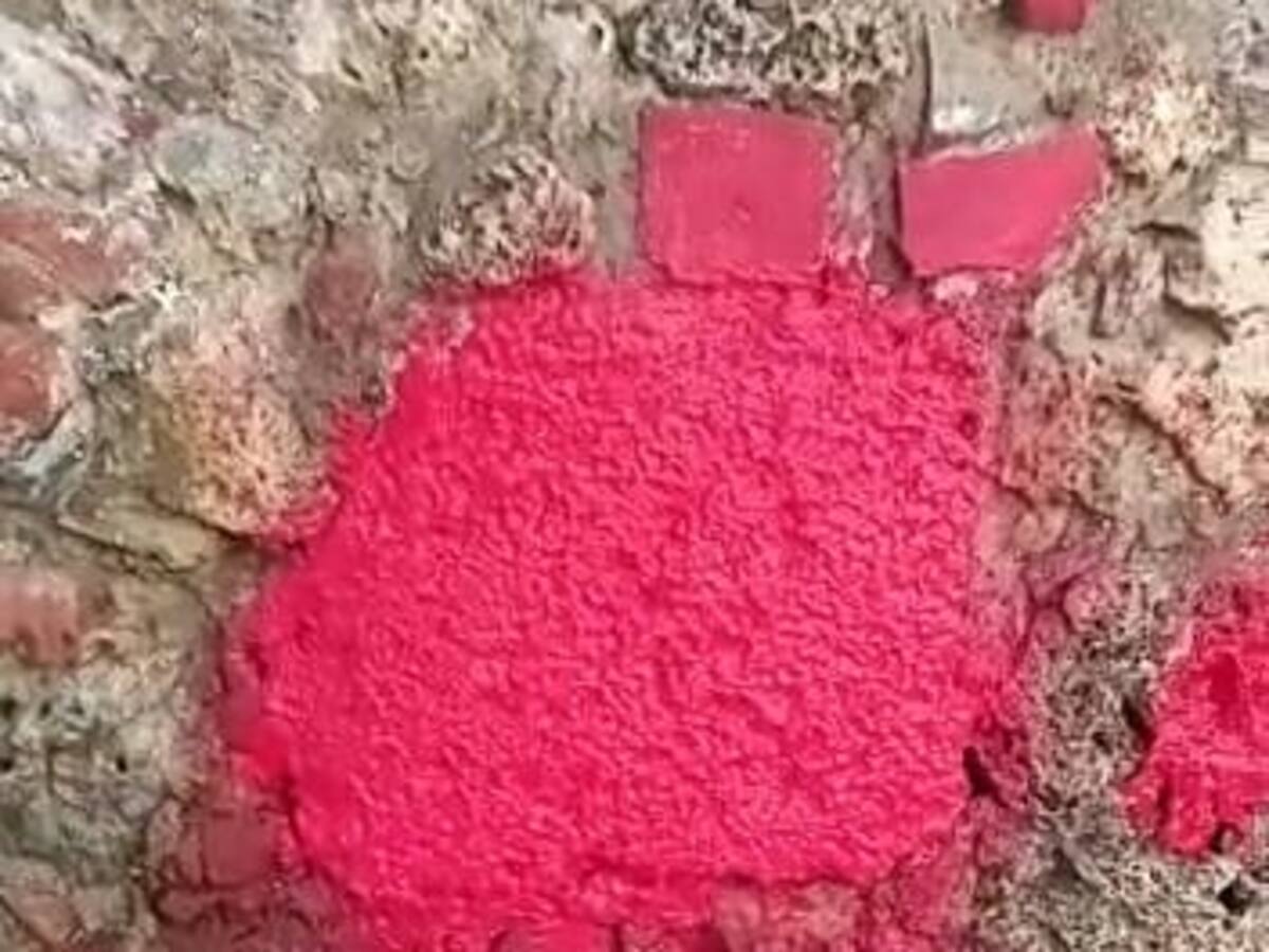 Escuela Taller Cartagena de Indias rechazó acto de vandalismo en muralla