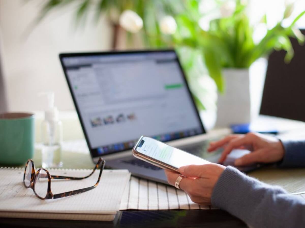 Práctica profesional será tenida en cuenta como experiencia laboral