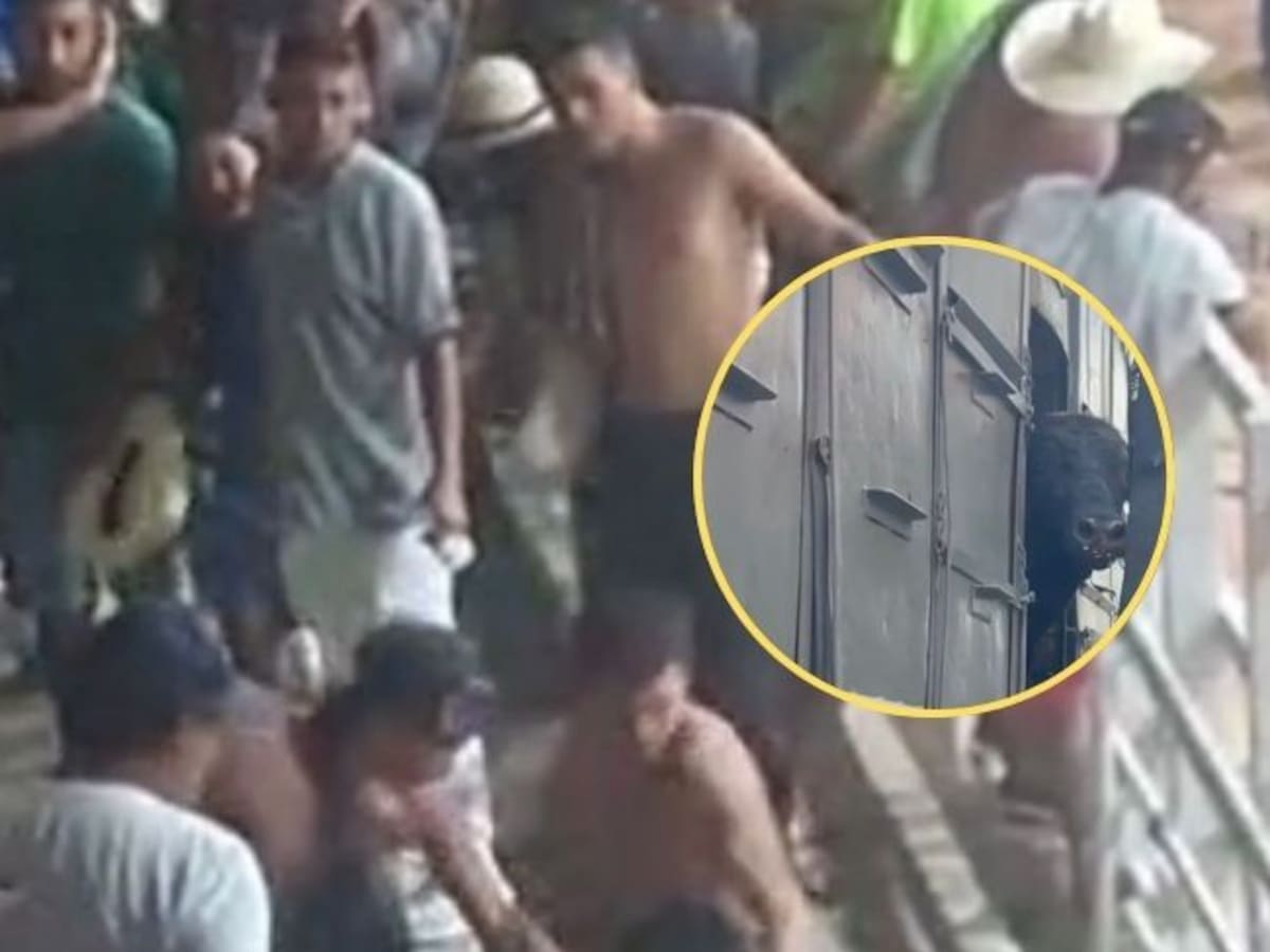 Anuncian acciones disciplinarias contra el alcalde de Barbosa por corrida de toros