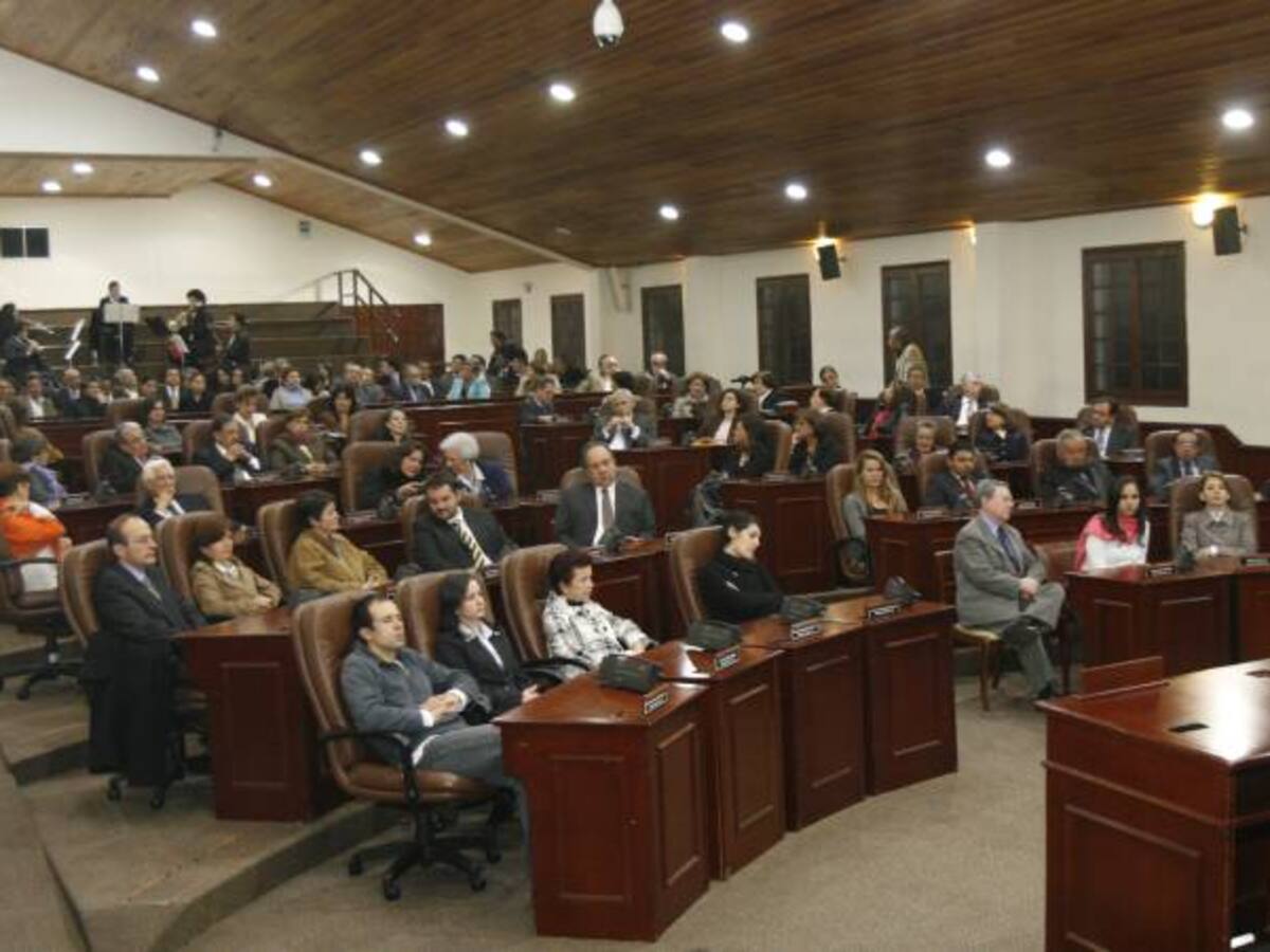 En el Concejo de Bogotá se debate proyecto de vigencias futuras de la Secretaría de Educación