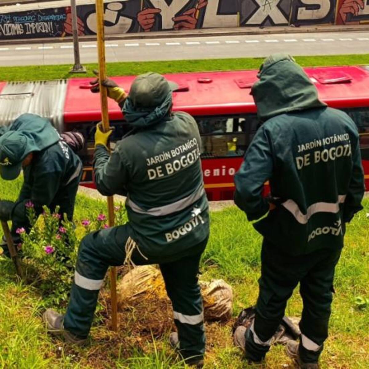 Plantación en la Avenida el Dorado: se cuenta con más de 2.000 árboles y arbustos