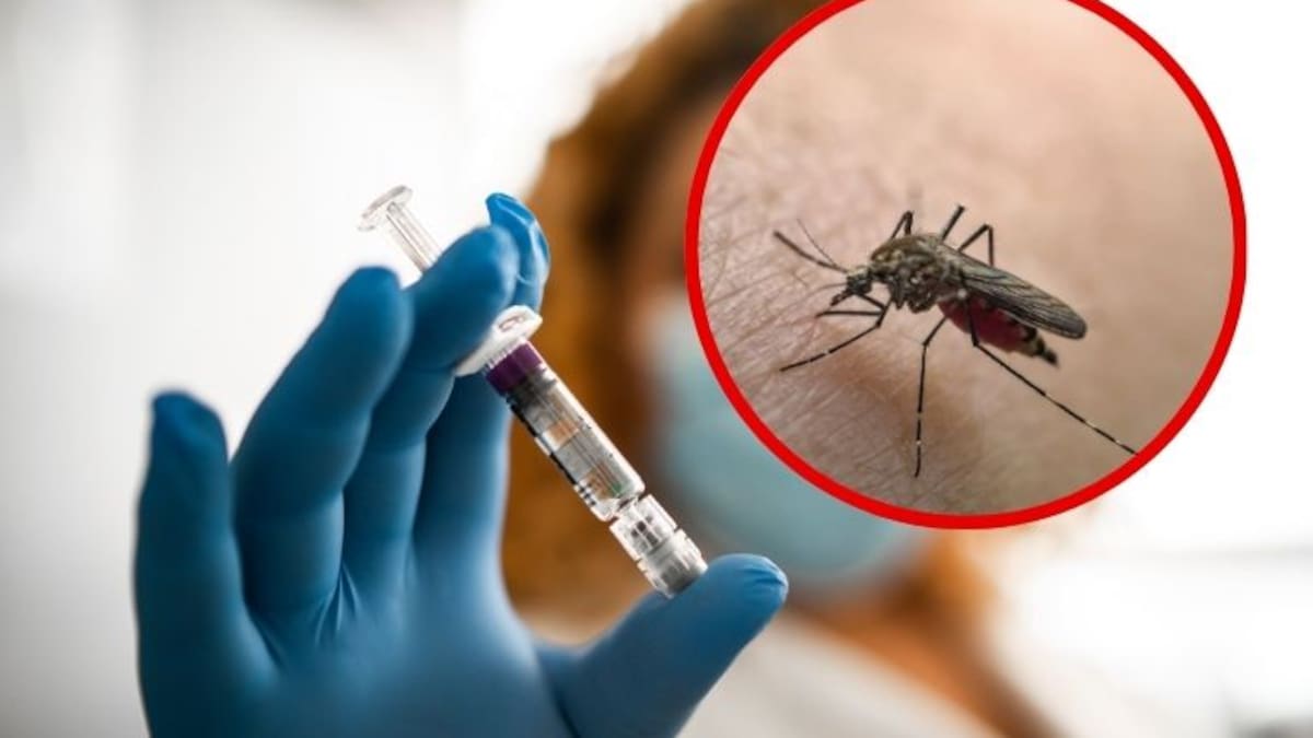 Fiebre amarilla: Nicaragua ordena vacunación por ley a viajeros