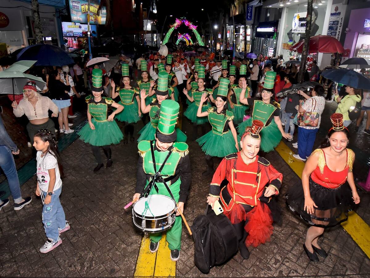 Más de 4 mil figuras tridimensionales hacen parte del alumbrado navideño de Ibagué