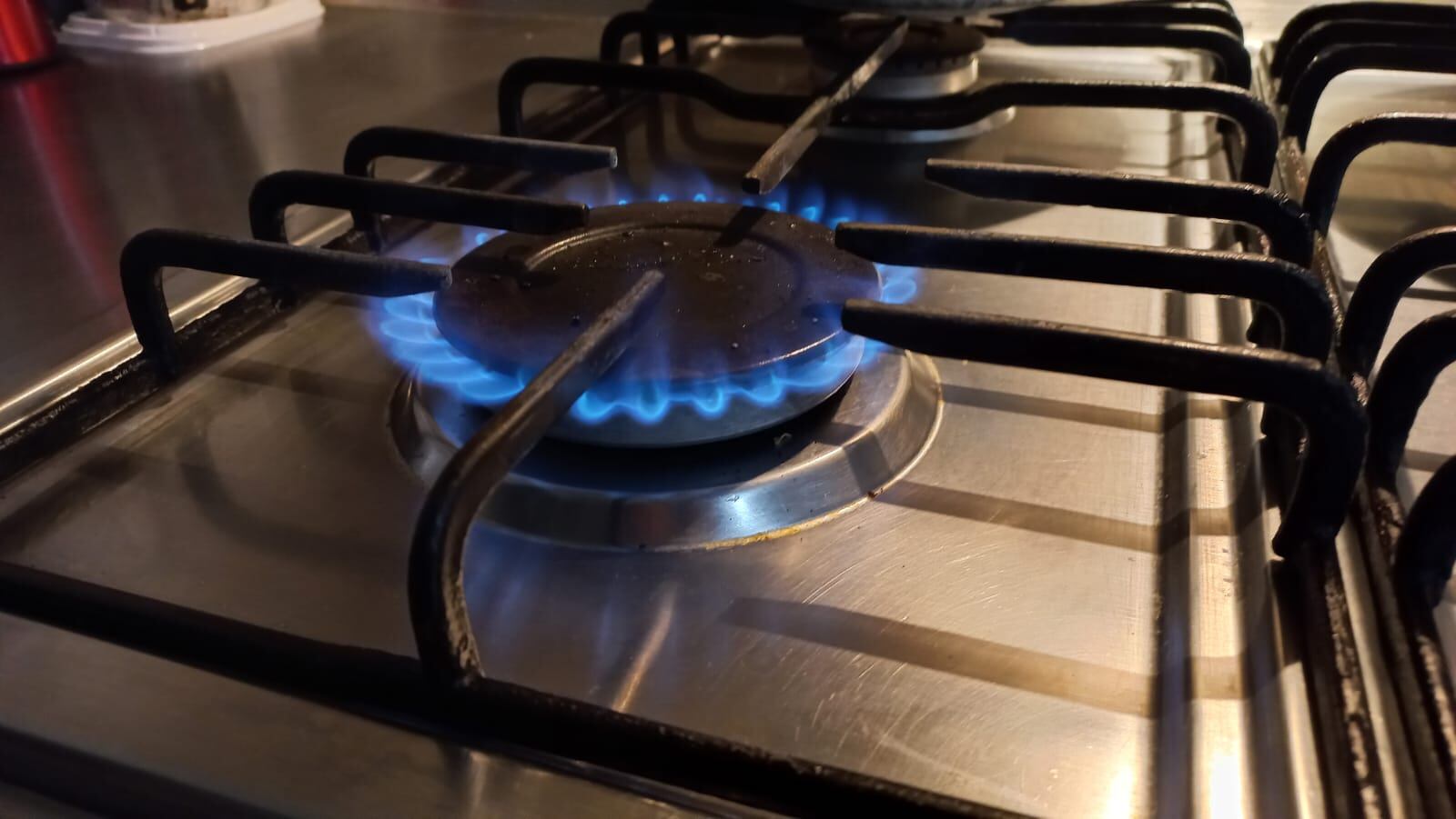 Estufas- Vanessa Porras