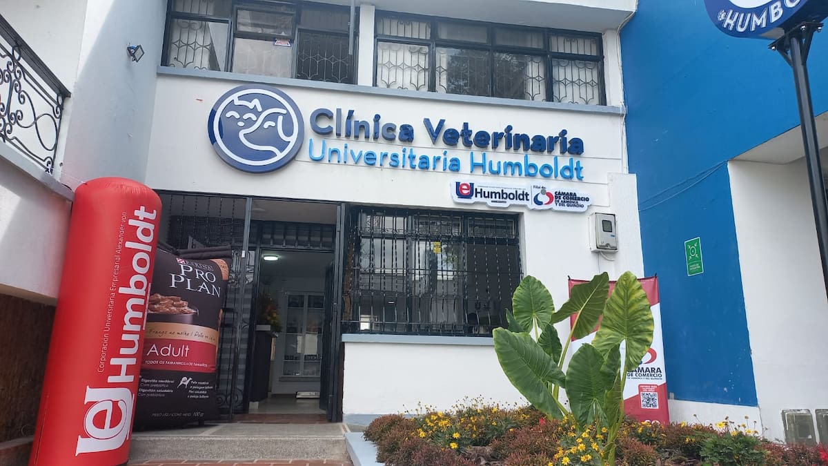 Rector de la Universidad Alexander Von Humboldt