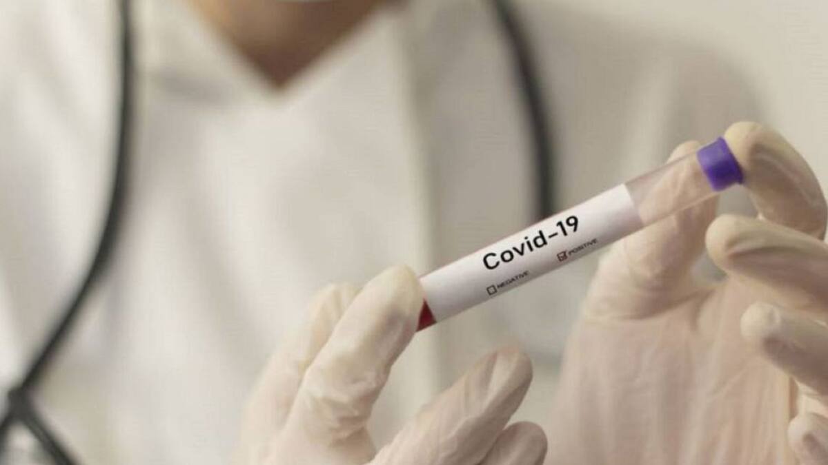 Médico Gregorio Sánchez,integrante mesa COVID