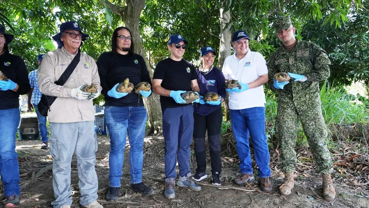 En una acción conjunta liderada por la CVC, Cardique y el DAGMA, 429 ejemplares de fauna silvestre regresan a su hábitat natural tras procesos de recuperación y rehabilitación