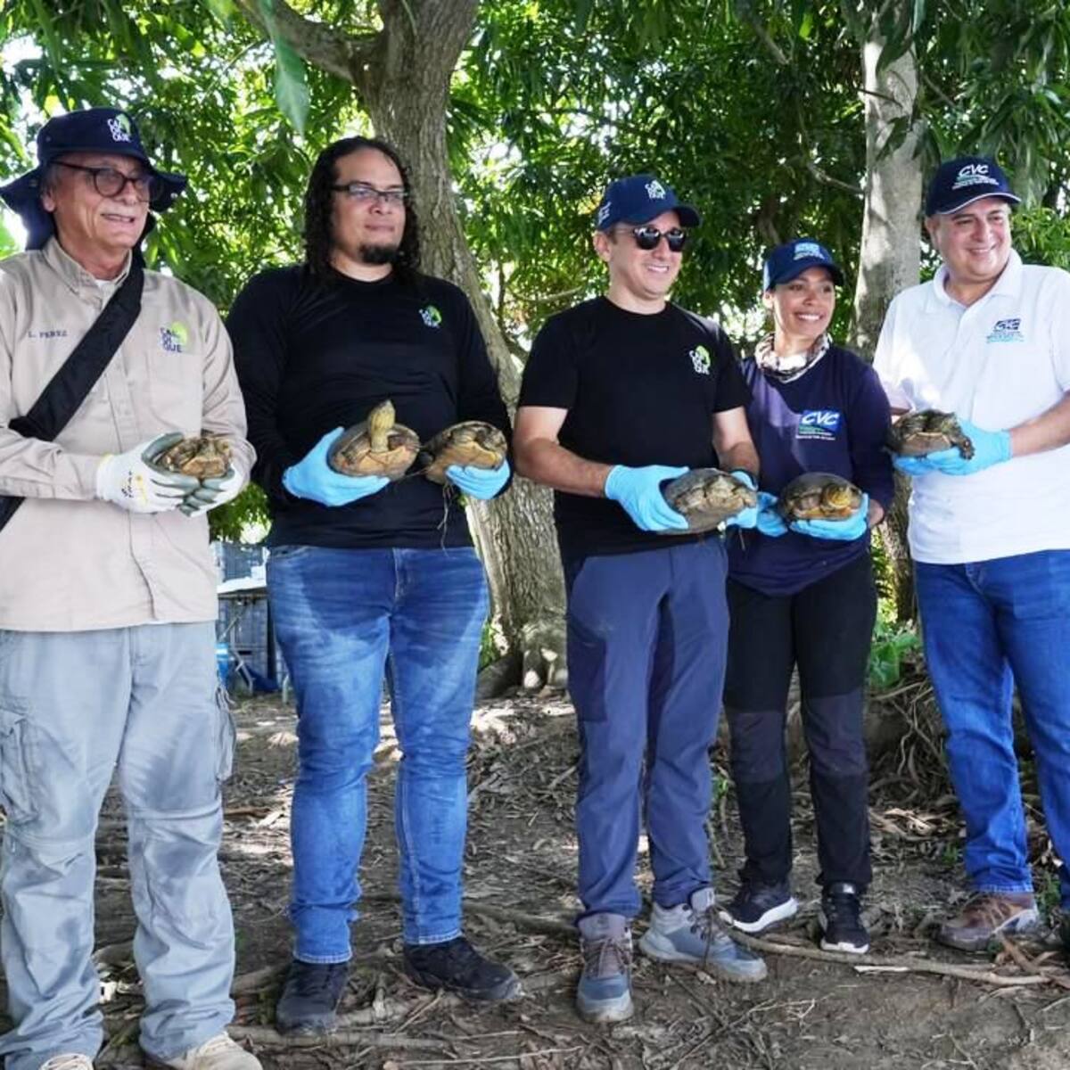 429 animales silvestres vuelven a la libertad en jornada de conservación en Bolívar