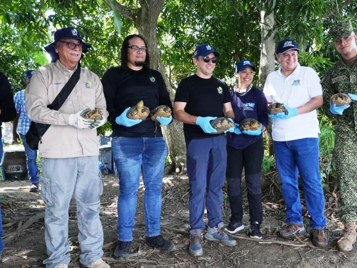 429 animales silvestres vuelven a la libertad en jornada de conservación en Bolívar