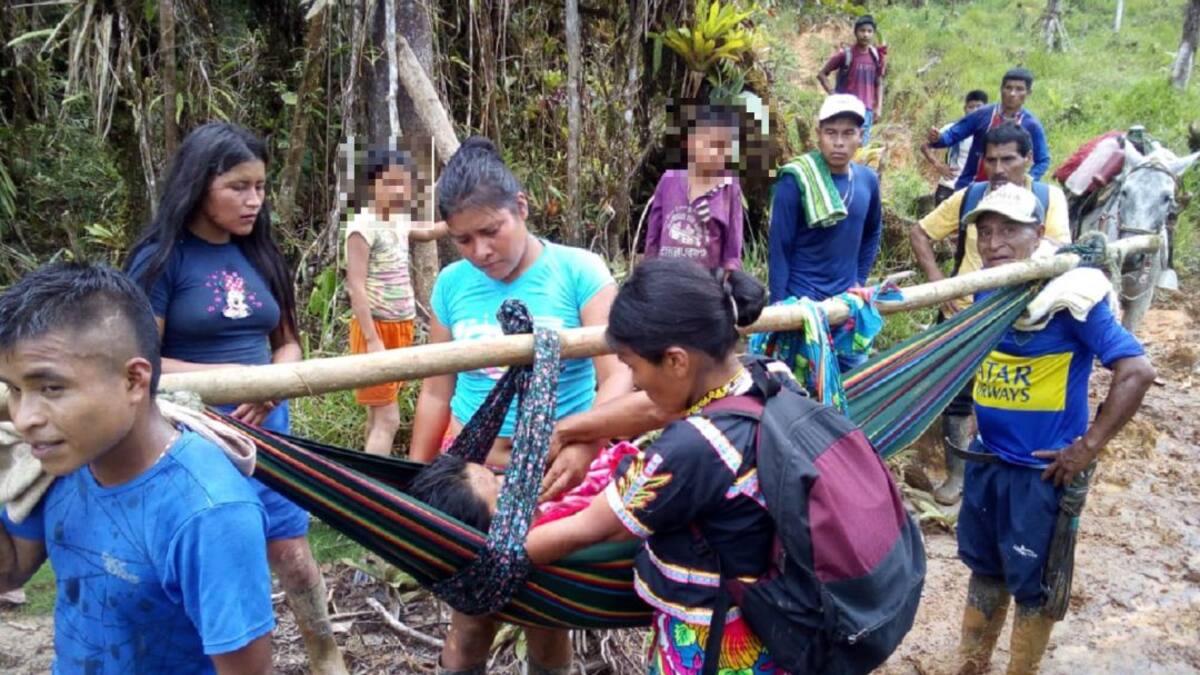 Murió profesora indígena mordida por serpiente en zona rural de Frontino