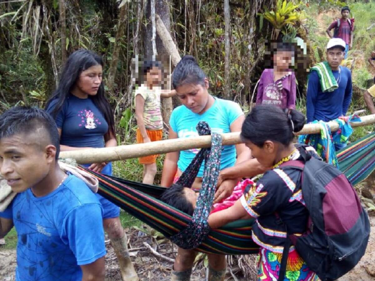 Murió profesora indígena mordida por serpiente en zona rural de Frontino