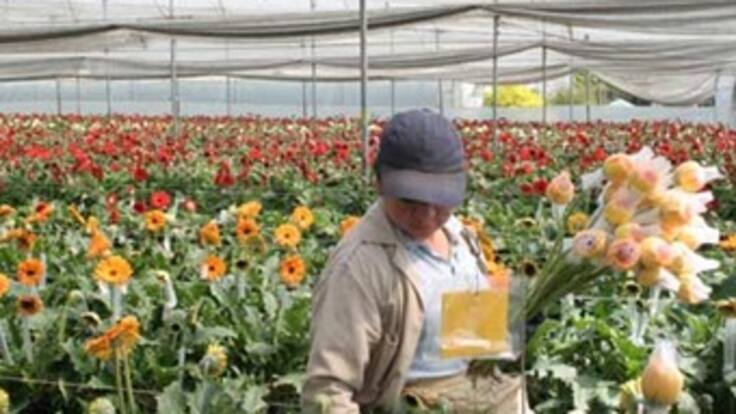 Llaman a interrogatorio a 22 funcionarios y exfuncionarios por irregularidades en créditos a floricultores