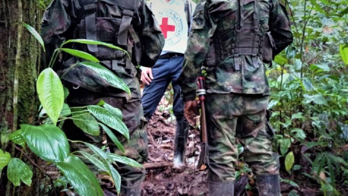 Liberan a tres hombres secuestrados por disidencias de Farc en Argelia, Cauca