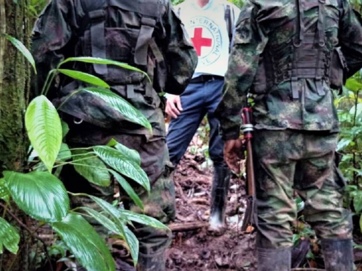 Liberan a tres hombres secuestrados por disidencias de Farc en Argelia, Cauca