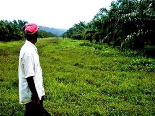 Aumentan los asesinatos y amenazas a líderes de restitución de tierras: Minagricultura