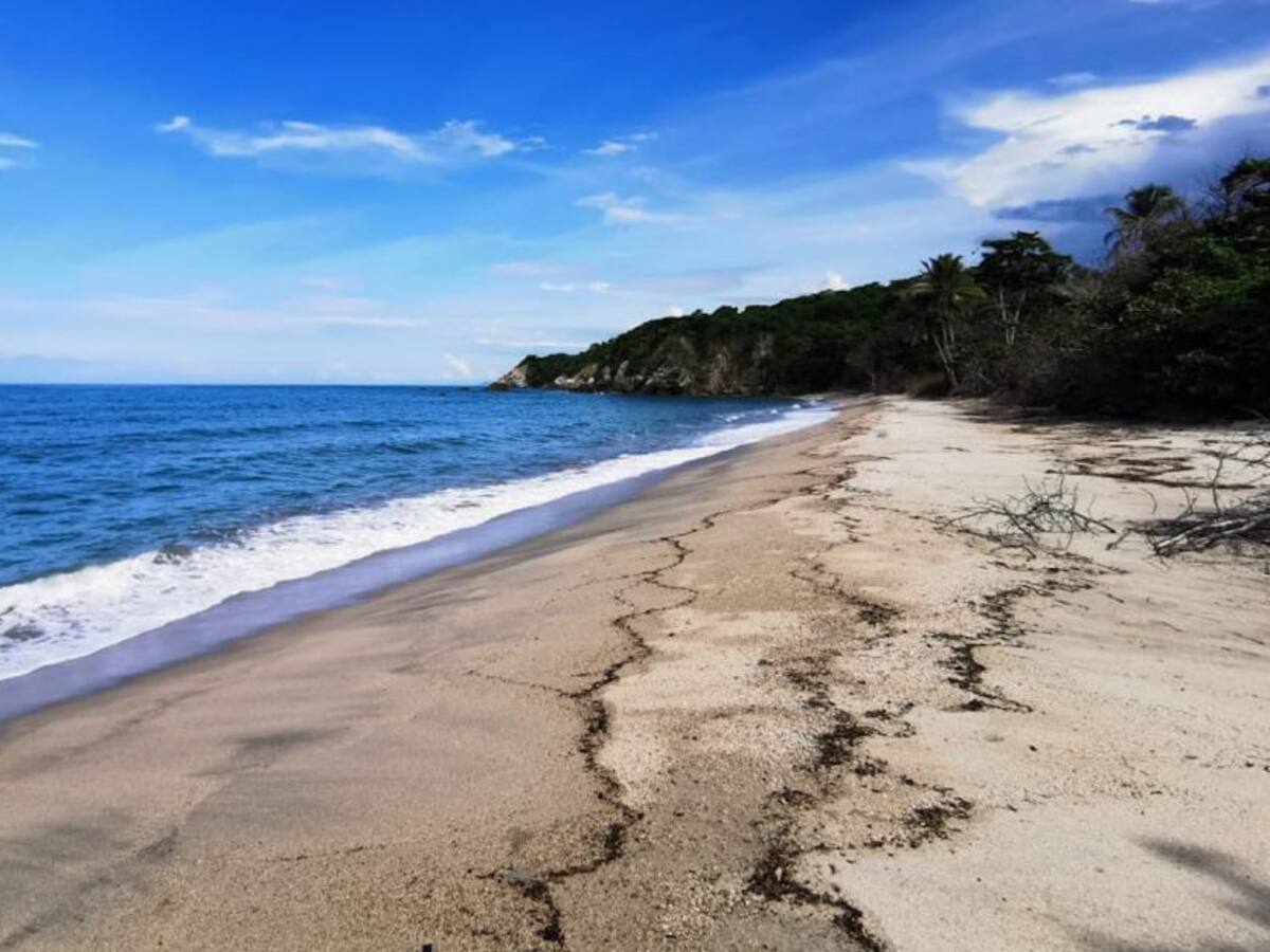 Habilitan ingreso a sectores Zaino-Cañaveral y Calabazo del Parque Tayrona