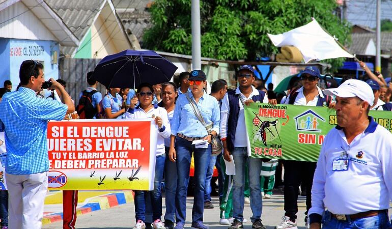 La medida más efectiva para evitar las enfermedades es eliminar los criaderos del mosquito.