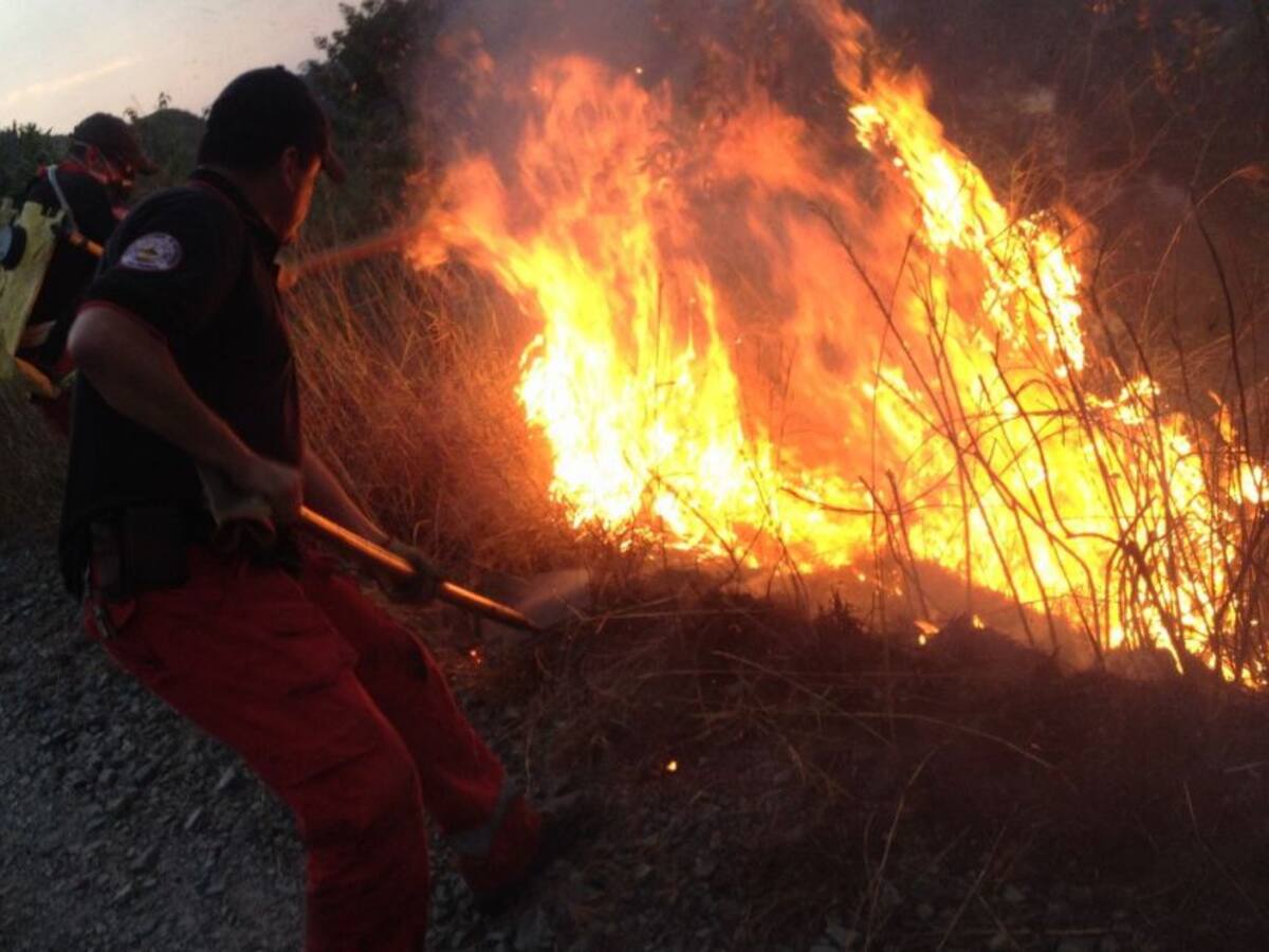 En Venecia, Antioquia, previenen los incendios forestales