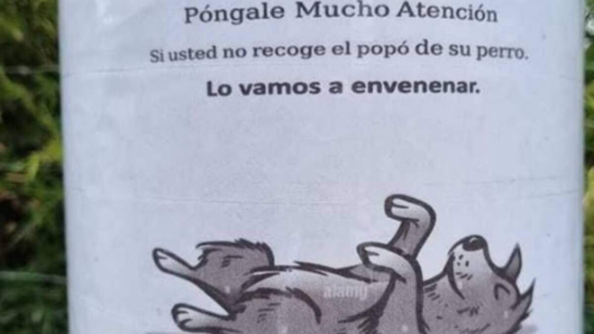 Informe animales en Armenia