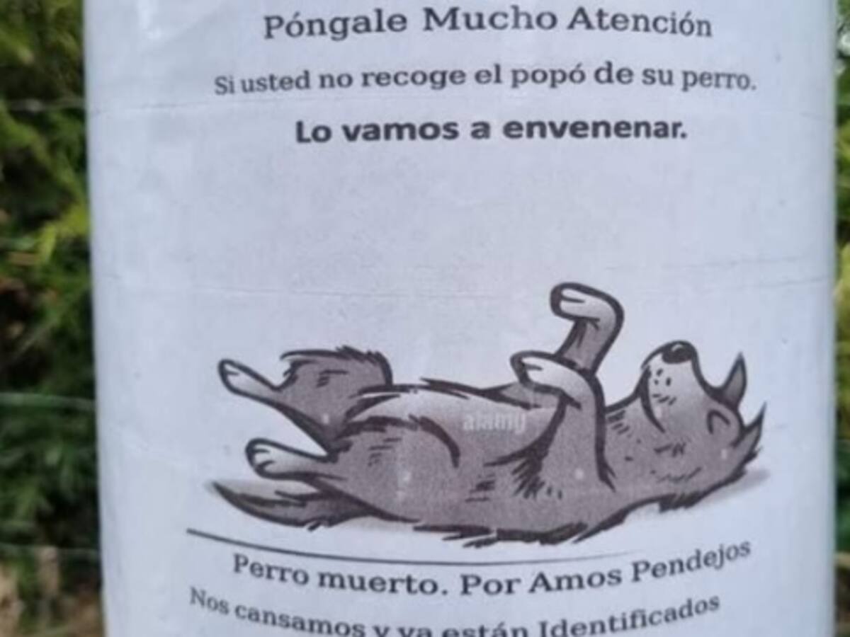 Investigan carteles en postes de Armenia donde amenazan con envenenar a perros