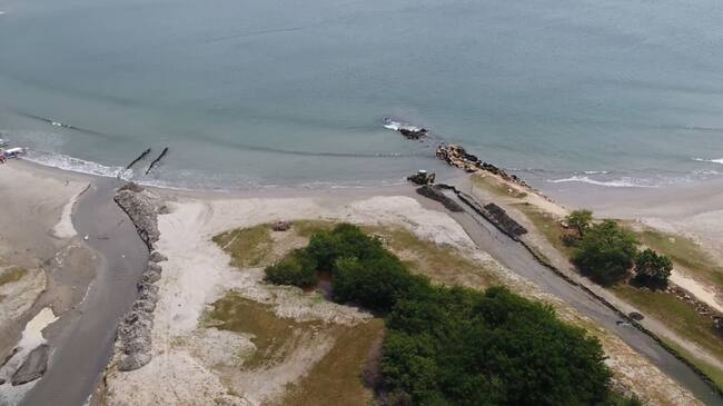 El documento establece que Cardique cederá al Distrito en calidad de comodato la máquina para oxigenar el cuerpo de agua