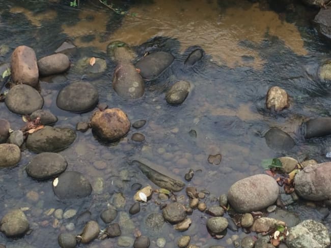 Válvula ilegal genera derrame de petróleo en la zona del Catatumbo de Norte de Santander