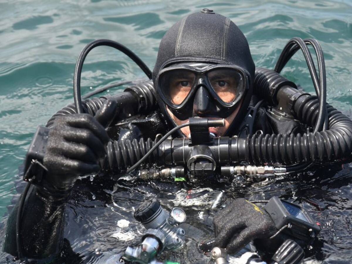 Armada Nacional ha regresado a su hábitat a 800 especies en el Caribe