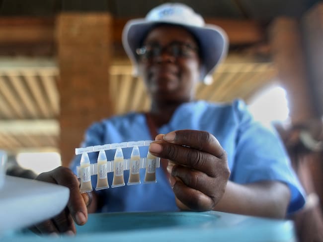 Trabajadores de la salud preparan vacunas contra el cólera en Zimbabue. 
(Foto: JEKESAI NJIKIZANA/AFP via Getty Images)