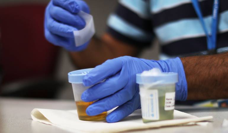 Imagen de referencia