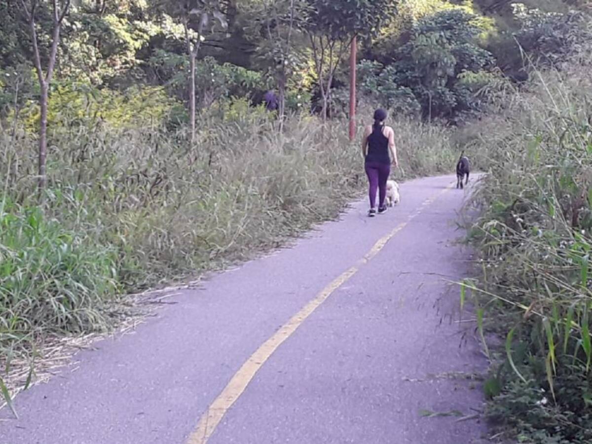 En abandono el parque lineal Quebrada La Iglesia