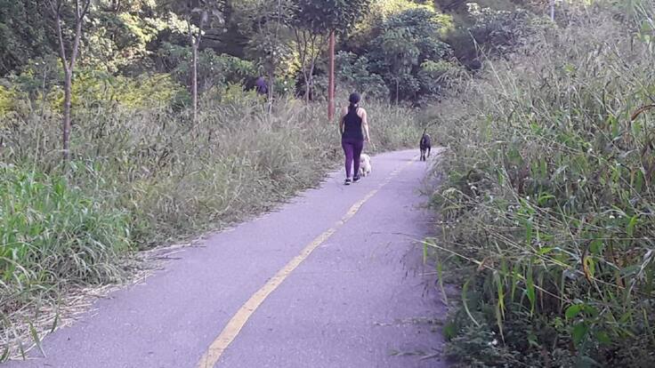 En abandono el parque lineal Quebrada La Iglesia