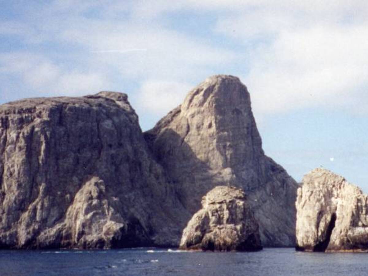Gobierno incrementa a 27.000 kilómetros cuadrados área protegida de la isla Malpelo